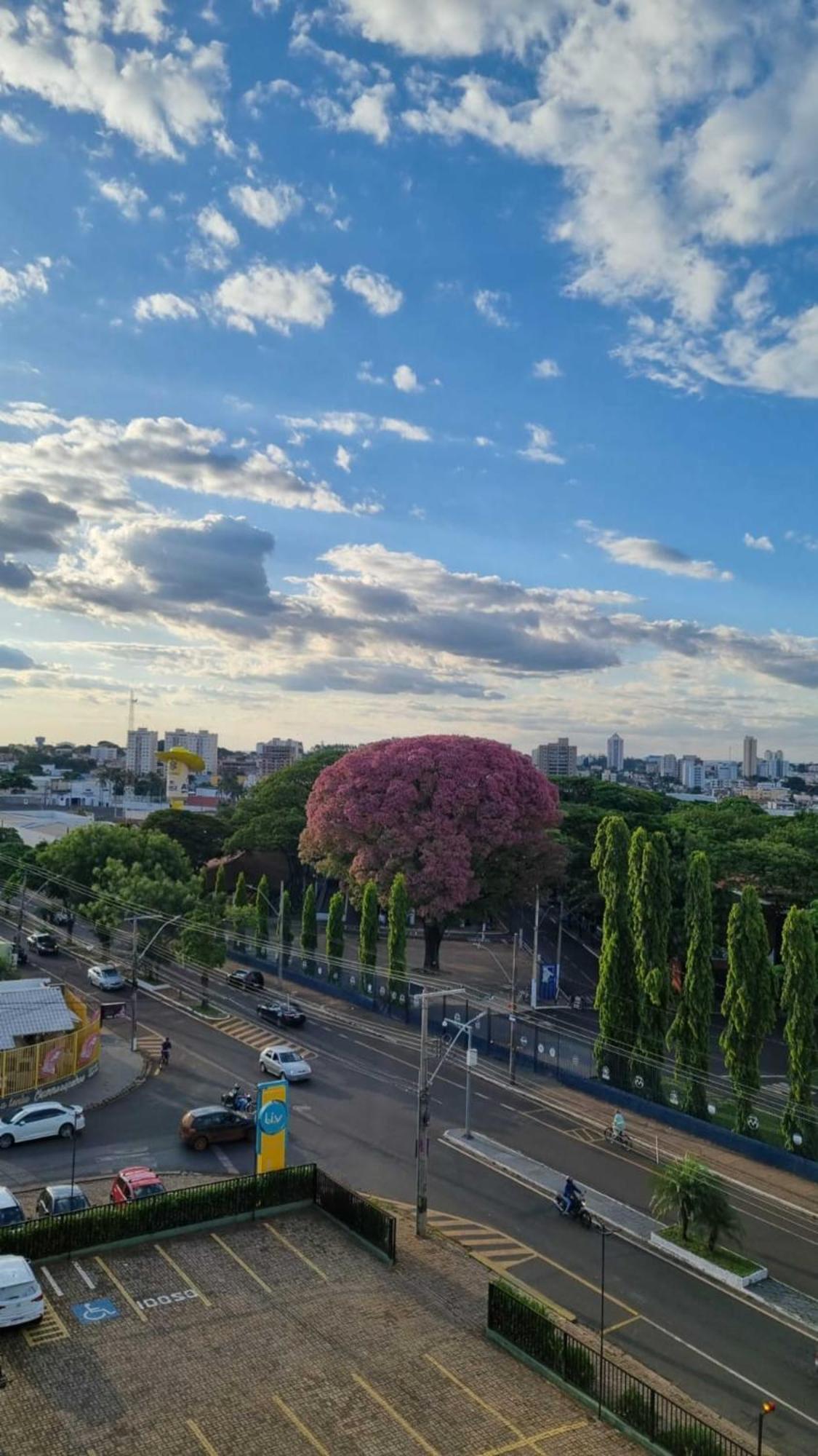 Hotel Golden Park Uberaba By Nacional Inn Rum bild
